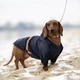 Куртка-дождевик для собак Noble Pet Moss Blue 5XL (M4106/5XL) - изображение 11