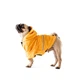 Куртка-дощовик для собак Noble Pet Moss Yellow M-Short (M4108/M-Short) - изображение 4