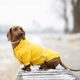 Куртка-дощовик для собак Noble Pet Moss Yellow M-Short (M4108/M-Short) - изображение 12
