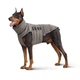 Пуховик Noble Pet Bobby Navy 6XL (B4118/6XL) - зображення 1
