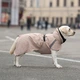 Дощовик для собак Noble Pet Rio Sand 2XL (R4135/2XL) - изображение 6