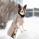 Дощовик для собак Noble Pet Rio Sand 2XL (R4135/2XL) - изображение 12