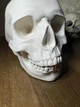 Гігантський Череп (натуральна величина) декор White ABC handmade - изображение 3