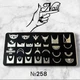 Диск пластина для стемпінгу металева Designer Professional 12*6см № 258 - изображение 1