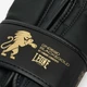 Боксерские перчатки Leone GN059D 14 унций Black/Gold (капа в комплекте) (GN059D_Bl/Gold_14oz) - изображение 8