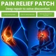 Знеболювальний пластир Eelhoe Pain Relief Patch з полином, 10 шт - изображение 4