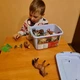 Большой игровой набор фигурок животных Kruzzel СР24816, 48 животных в кейсе - изображение 7