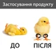 Набор из 50 корректирующих браслетов для ног птенцов для лечения распора ног у новорождённых птиц - изображение 2