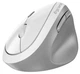 Мышь беспроводная Genius Ergo 8350S AI Silent Wireless White (31030041401) - изображение 4