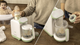 Robot kuchenny dla niemowląt Cecotec Nana BabyCare FoodProcessor biały - obraz 10