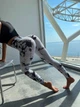 Спортивные женские лосины Marble с эффектом пушап для фитнеса и йоги Тай-дай Мраморные Бесшовные L Черно-белые (1719/5_HH05L) - изображение 6