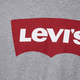Футболка бавовняна чоловіча Levi's Graphic Setin Neck 17783-0138 XL Graphic H21 (5415211983250) - зображення 4