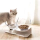 Миска для кота двойная с нескользящей наклонной подставкой из ABS пластика Feeding Bowl прозрачная (FВ-26428) - изображение 1