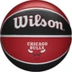 Баскетбольный мяч Wilson NBA TEAM TRIBUTE CHICAGO BULLS красно-черный Размер 7 WTB1300XBCHI - изображение 1
