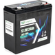 Батарея LiFePo4 Longttech LiFePO4 12.8V - 24Ah (LAR1224-LT20-R32) - изображение 4