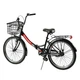 Велосипед складний Corso 24" Advance AD-244, одношвидкісний, складна сталева рама 14". Black (148348) - зображення 3