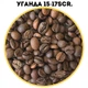 Кава зернова Royal Coffee Uganda Robusta 1000 г. | Уганда Робуста 1000 г - зображення 4