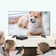 Приставка смарт-ТВ Android TV Box MXQ 4K Pro 5G 4/64 ГБ, Wi-Fi, 4K в комплекте пульт - изображение 9