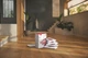 Мешок пылесборник Miele HyClean Pure FJM 4 шт - изображение 7