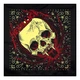 Бандана METALLICA - SPIDER SKULL (olb-027) - изображение 1