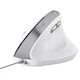 Мышь Trust Bayo II Ergonomic Mouse - White - изображение 2