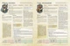 Настольная игра Geekach Root RPG - Когтистый Холм. Быстрый старт Корни НРИ - изображение 4