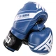 Перчатки боксерские кожаные Fistrage Fight Gear 4279 размер 12 унций Blue-White - изображение 2