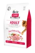 Корм сухой Brit Care Cat Grain Free Adult Activity Support для уличных и взрослых кошек с индейкой 400 г - изображение 1