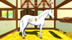 Gra Nintendo Switch Bibi and Tina: Adventures with Horses (Kartridż) (5055377605148) - obraz 7