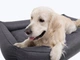 Лежак для собак Harley and Cho Sofa з посиленою поверхнею Gray L - зображення 3
