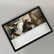 Ноутбук-трансформер Б-класс Microsoft Surface Book 2 / 15" (3240x2160) IPS Touch / Intel Core i7-8650U (4 (8) ядра по 1.9 - 4.2 GHz) / 16 GB DDR3 / 256 GB SSD / nVidia GeForce GTX 1060, 6 GB GDDR5, 192-bit / USB Type-C / WebCam б/у - изображение 8