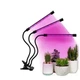 Светодиодная фитолампа Grow Light для выращивания растений, рассады Полный спектр 3 головы RTS - изображение 2
