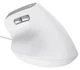 Trust Мышь Trust Bayo 2 Ergonomic, USB-A, біла - изображение 10