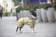 Комбинезон для собак WAUDOG Clothes рисунок Рик и Морти 3 S32 В 47-50 см С 30-33 см Yellow (5432-0282) - изображение 2