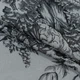 Тканина жакард Лаурель сіро-чорний (232г/м.кв315см пог.м) 153376 - зображення 1
