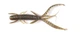 Німфа HOGY SHRIMP Lucky John Pro Series 3,5 in/S21 *5 (140174-S21) - зображення 2