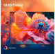 Telewizor Hisense QLED 65" 65E77Q PRO (6942351416663) - obraz 17