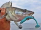 Силікон Lucky John Minnow 5.5"/T05 (140151-T05) - изображение 4