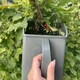 Ручной плодосборник гребенка Gardlov для сбора мелких ягод и фруктов 22 x 12 x 14 см (24249) - изображение 5