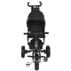 Дитячий триколісний велосипед MT 1005-1 чорний - зображення 2