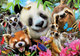Puzzle Educa Black-Eyed Friends 300 elementów (18610) (8412668186101) - obraz 2