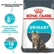 Сухий корм для котів Royal Canin Urinary Care 2 кг (1800020) (3182550842938) - изображение 2