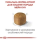 Сухой корм для кошенят Royal Canin Maine Coon Kitten 2 кг (3182550816502) (2558020) - изображение 2
