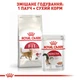 Сухий корм Royal Canin FIT 32 для активних котів 400г (3182550702157) (2520004) - изображение 5