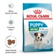 Сухий корм для цуценят Royal Canin Puppy Mini малих порід вагою до 10 кг від 2 до 10 місяців 2кг (3182550793001) (30000202) - зображення 2