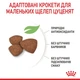 Сухий корм для цуценят Royal Canin Puppy Mini малих порід вагою до 10 кг від 2 до 10 місяців 2кг (3182550793001) (30000202) - зображення 4
