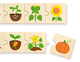 Drewniane puzzle - dopasowanka Viga Jak rośnie 51609 (6934510516093) - obraz 3