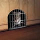 Наклейка 3D декоративная Мышь в норе за решеткой ПВХ для настенного декора помещений и предметов, Серый с черным - изображение 2