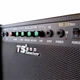 Комбоусилитель для бас-гитары Amp TS BS-35 (35 Вт) - изображение 4