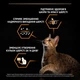 Сухой корм для взрослых кошек Purina Pro Plan Adult 1+ Derma Care для поддержания здоровья кожи и красоты шерсти с лососем 10 кг - изображение 4